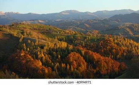 Autumn foliage and mountain forest