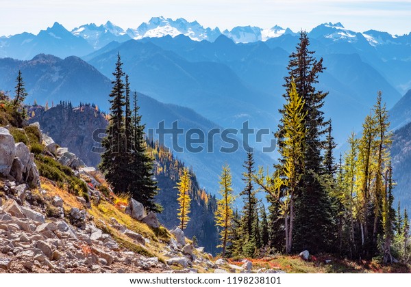 Autumn Foliage North Cascades National Park 스톡 사진 1198238101 | Shutterstock