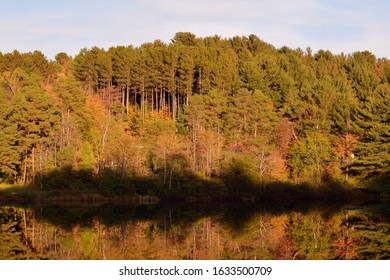 Autumn Foliage Old Forge New York