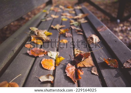 Similar – Schon besetzt Herbst Blatt