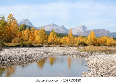 Autumn Foliage On The Kananaskis River