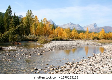 Autumn Foliage On The Kananaskis River