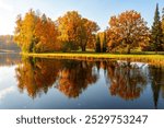 Autumn foliage in Pavlovsky park, Pavlovsk, Saint Petersburg, Russia