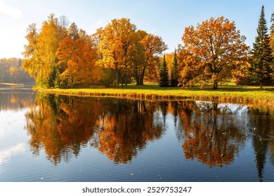 Autumn foliage in Pavlovsky park, Pavlovsk, Saint Petersburg, Russia - Powered by Shutterstock