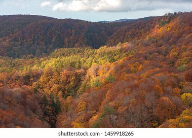 Autumn foliage scenery view, beautiful landscapes. Fall is full of magnificent colours. Entire mountain and valley is bathed in different hues of red, orange and golden colors background - Shutterstock ID 1459918265