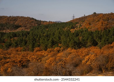 Autumn foliage surrounds evergreen trees on rolling hills under a clear sky in a serene landscape - Powered by Shutterstock