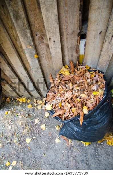 leaves garbage bags