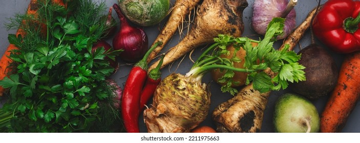 Autumn Food Background With Vegetables, Root Crops: Celery, Radish, Parsnips, Carrots, Pepper On Kitchen Table. Harvesting, Local Farm Market Shopping, Healthy Eating Concept. Top View Banner