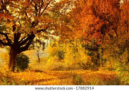 Similar – Image, Stock Photo autumn 1 Human being