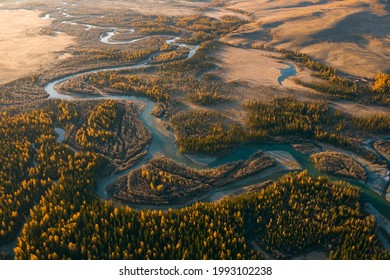 Autumn Forest, Abstract Nature Picture. Admire The Virgin Forests Of Siberia, Russia From The Air.