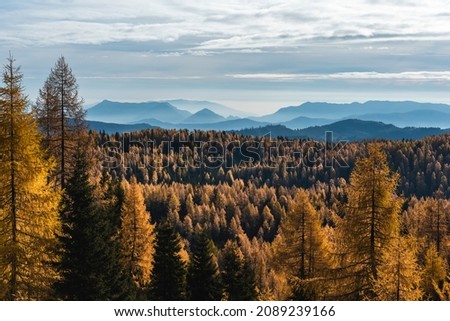 Autumn forest in Asiago plateau in Italy