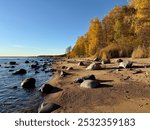 Autumn forest and beach of the Gulf of Finland. Autumn nature background.