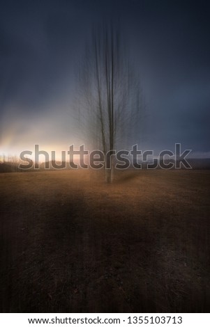 Similar – Wahner Heide ruhig Natur