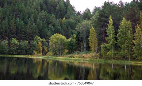 Autumn forest by the lake 17 - Shutterstock ID 758549047