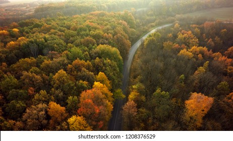 Autumn Forest Drone Aerial Shot, Overhead View Of Foliage Trees And Road.