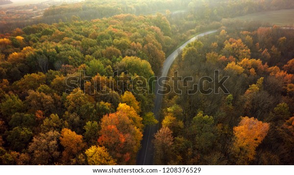 Autumn forest drone aerial shot, Overhead view of\
foliage trees and road.