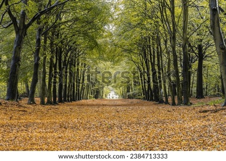 Autumn in the forest of Heiloo, the Netherlands. Nature displays its beautiful autumn colors. The trees create an avenue with a view of a magnificent stately house.