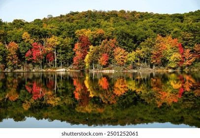 Autumn forest lake. Autumn lake in autumn forest. The autumn foliage of the trees is reflected in the lake water - Powered by Shutterstock