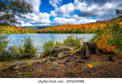 Autumn Forest Lake Landscape. Forest Lake In Autumn