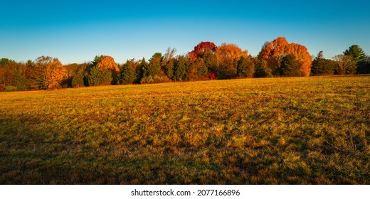 Autumn Forest Landscape Of Bay Circuit Trail Southern Terminus In Kinston, Massachusetts. Curved Meadow Hill And Colorful Maple Tree Foliage Under Clear Blue Sky.