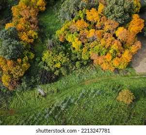 Autumn Forest Landscape.  Drone Photo