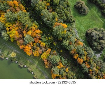 Autumn Forest Landscape.  Drone Photo