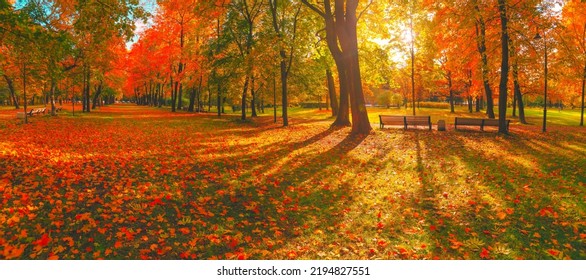 Autumn forest landscape. Gold color tree, red orange foliage in fall park. Nature change scene. Yellow wood in scenic scenery. Sun in blue sky. Panorama of a sunny day, wide banner, panoramic view - Shutterstock ID 2194827551