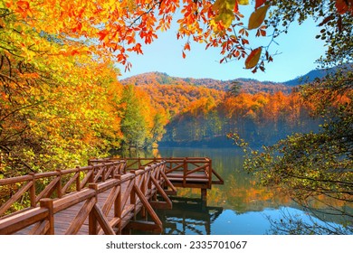 Autumn forest landscape reflection on the water with wooden pier - Autumn landscape in (seven lakes) Yedigoller Park Bolu, Turkey - Powered by Shutterstock