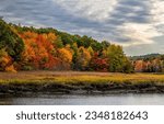 Autumn forest on the river bank. Forest river in autumn. Autumn forest river. Autumn river forest landscape