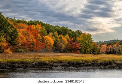 Autumn forest on the river bank. Forest river in autumn. Autumn forest river. Autumn river forest landscape - Powered by Shutterstock