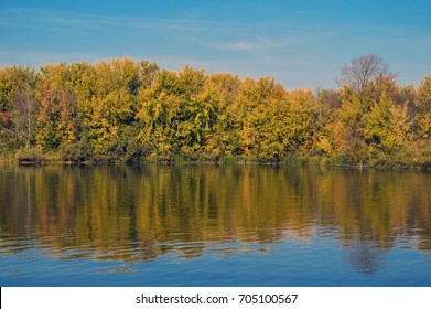 Autumn Forest On The River Bank.