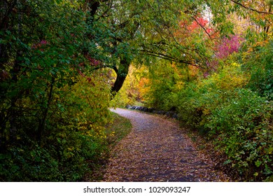 Autumn forest path with welcoming glow in city park Whitefish, Montana