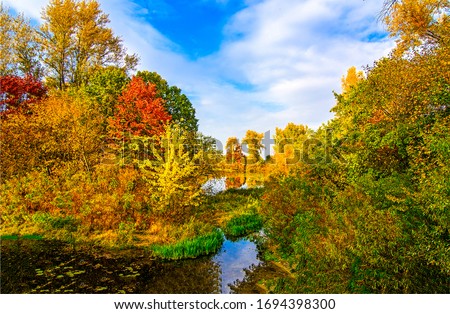 Autumn forest pond landscap in October