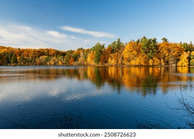 Autumn forest reflected on Moulin Lake (Lac du Moulin). Mont-Saint-Bruno National Park, Saint-Bruno-de-Montarville, Quebec, Canada. Fall foliage color. - Powered by Shutterstock