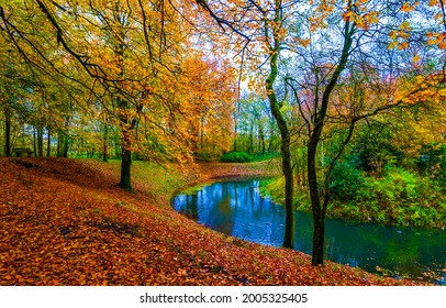 Autumn forest river stream landscape