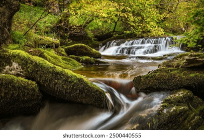 Autumn forest river waterfall. Autumn river waterfall. A river stream in a mossy autumn forest. River waterfall in autumn - Powered by Shutterstock