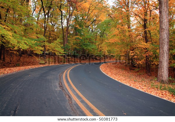 autumn forest\
road, leaves are falling, day\
time
