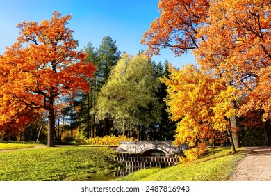 Autumn forest road and forest river landscape. Autumn park with river against blue sky background. Orange color trees, green grass and red brown leaves in fall city park. - Powered by Shutterstock