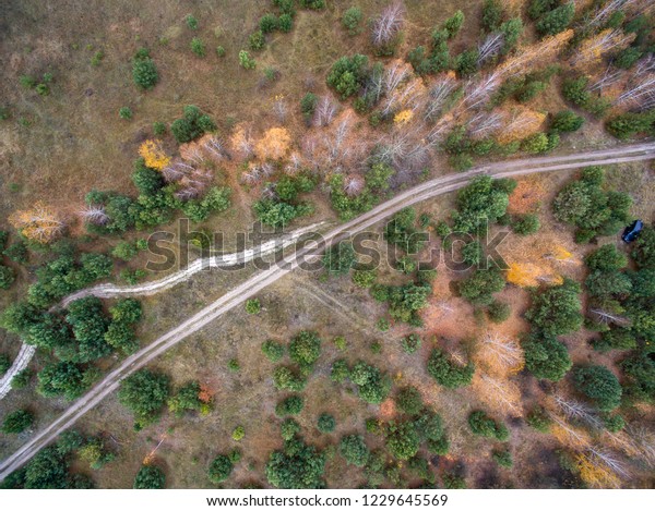 autumn\
forest, road in the forest, view from\
above