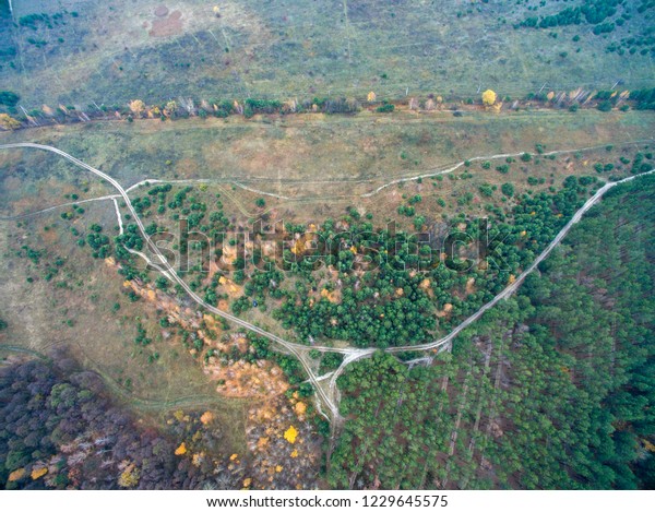 autumn
forest, road in the forest, view from
above