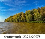 Autumn forest stands on the river bank