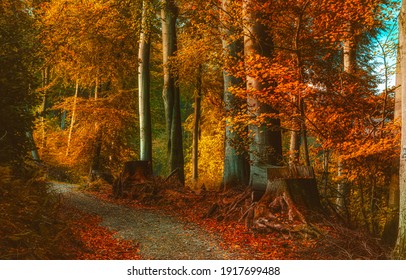 秋の景色 High Res Stock Images Shutterstock