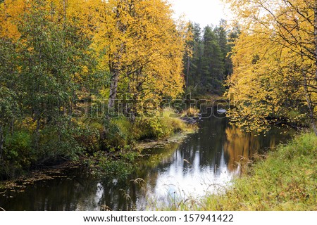 Autumn forest trees and river at cloudy day