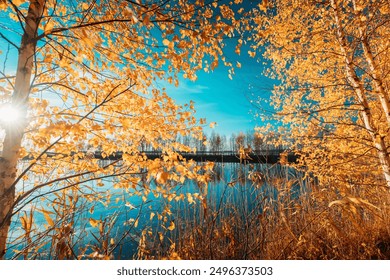 Autumn Forest woods lake. Amazing Landscape Woodland. wide angel, tranquil Autumn River Landscape At Sunset. Sun Shine Over Blue Water Lake Or River At Sunrise. Nature At Sunny Morning. Woods With - Powered by Shutterstock