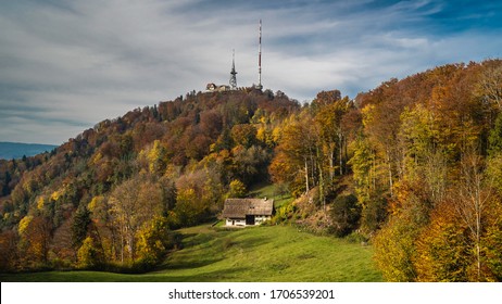 Autumn Forests Of Uetliberg In Zurich Switzerland