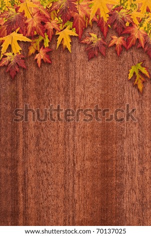 Autumn frame