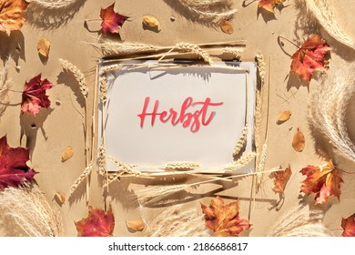 Autumn frame, caption greeting text Herbst means Autumn in German language. Natural Fall leaves, wheat ears and pampas grass. Natural terracotta, beige, yellow and red color shades. Flat lay, top view