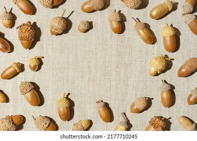 Autumn frame from natural dry acorns oak tree on linen fabric table, neutral beige background. Round border from natural materials. Autumn, fall concept. Minimal trend flat lay, top view, copy space