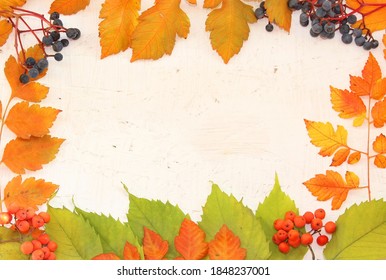 Autumn frame on osb board, painted with white paint, lie orange, green autumn leaves, rowan berries and grapes