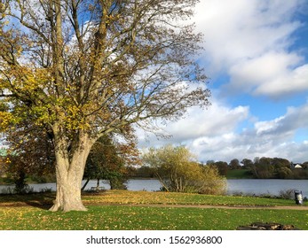 Autumn In Frederiksberg Palace Park, Hilleroed